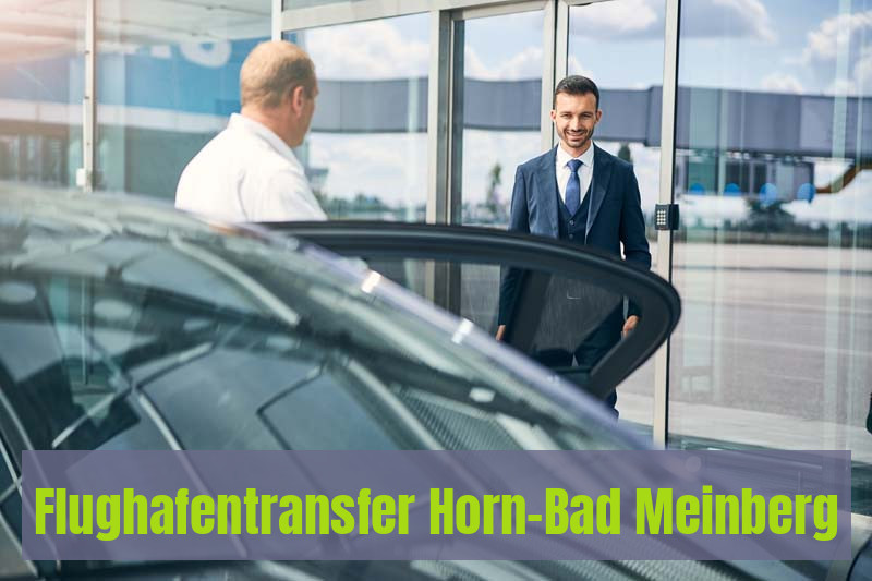 Flughafentransfer Horn-Bad Meinberg